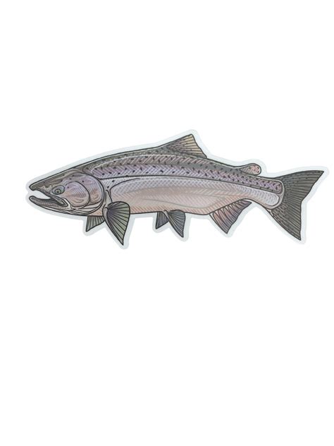 Casey Underwood Chinook Salmon Sticker Salmon River Fly Box