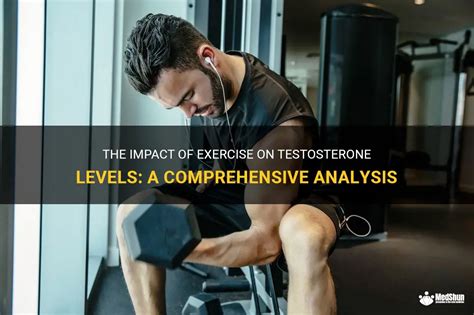 The Impact Of Exercise On Testosterone Levels A Comprehensive Analysis Medshun