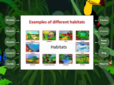 Habitats of Plants and Animals - Labelled diagram