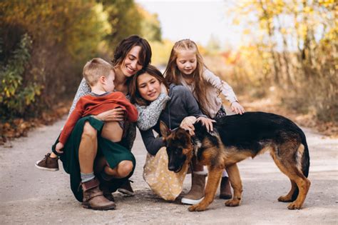 Socialização do cão Como fazer Portal do Dog