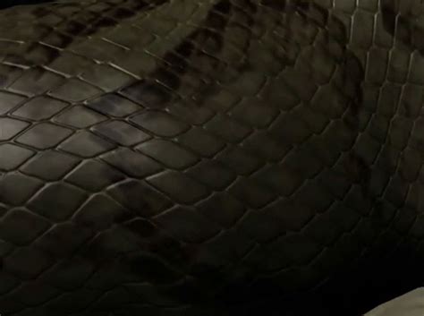 Breaking: Janice Nichole Leak Case Takes a Stunning Turn! - 7lu4o65