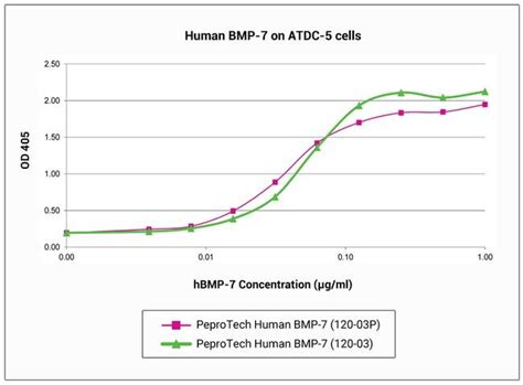 Gibco Human BMP 7 Recombinant Protein PeproTech 10 x 100 µg