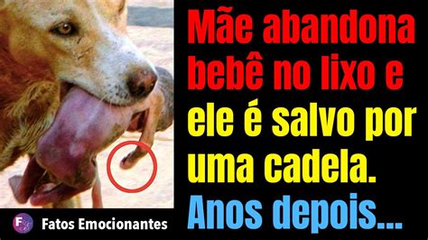 M E Abandona Beb No Lixo E Ele Salvo Por Uma Cadela Anos Depois