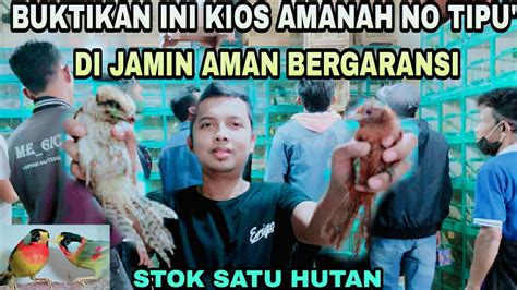 Buktikan Ini Kios Amanah Jujur No Tipu Aman Bergaransi Kios Langgeng