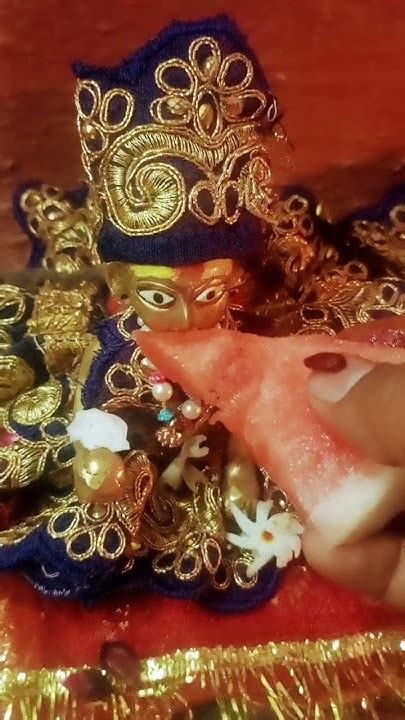 Radhe Radhe Krishna Krishna Hare Krishna Hare Hare Laddu Gopa