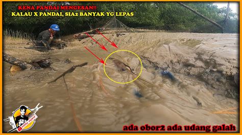 Kelang Kabut Lari Semua Udang Galah Kalau Bapak Ini Udah Siap Turun