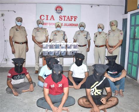 Jalandhar Police Bust Interstate Arms Racket Arrest 7 Men Hindustan