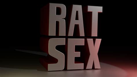 Rat Sex R Rodentintercourse