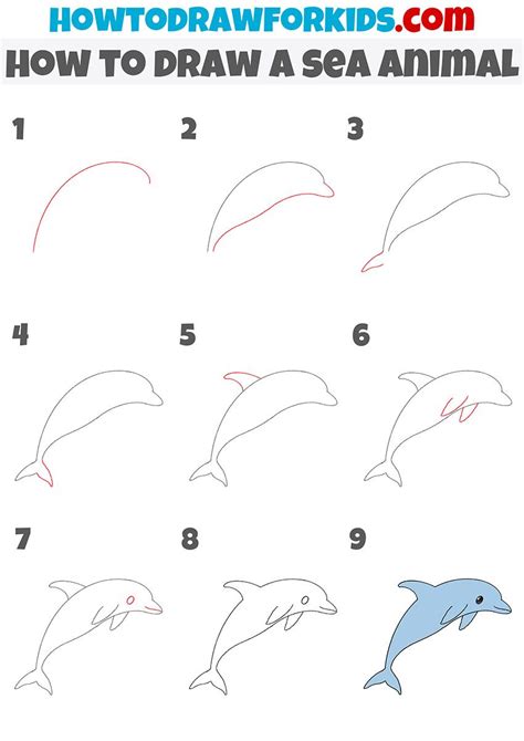 how to draw a sea animal step by step | Easy animal drawings, Sea ...