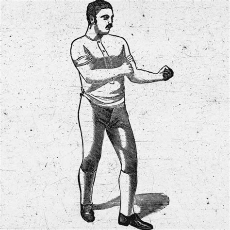 Vintage Boxer Free Stock Photo Public Domain Pictures