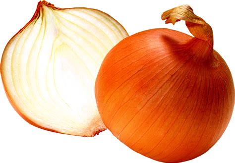 Hq Onion Png Transparent Onion Png Images Pluspng The Best Porn Website