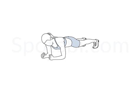 Plank Illustrated Exercise Guide Workout Guide Plank Workout