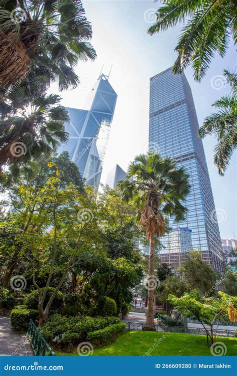 Amazing Chater Park With Palm Trees In Central District Of Hong Kong