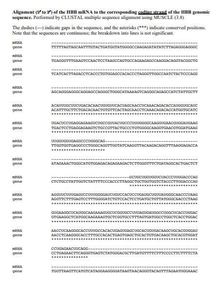 Solved Alignment S To Of The Hbb Mrna To The Chegg