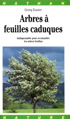 Arbres Feuilles Caduques Indispensable Pour Reconna Tre Les Arbres