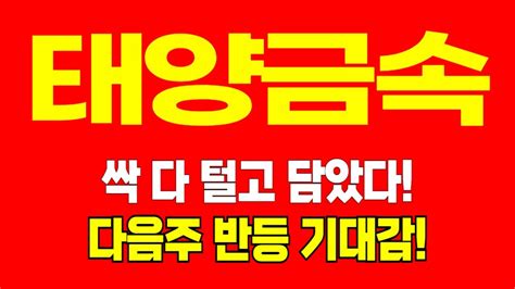 주식 태양금속 싹 다 털고 담았다 다음주 반등 기대감 YouTube