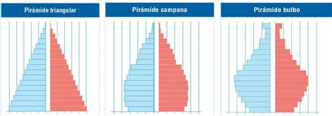 Descubre los diferentes tipos de pirámides de población en el mundo