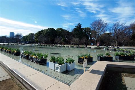 上野恩賜公園の見どころと西郷隆盛像の秘密は 自然・芸術・パワースポットなど魅力がいっぱい！