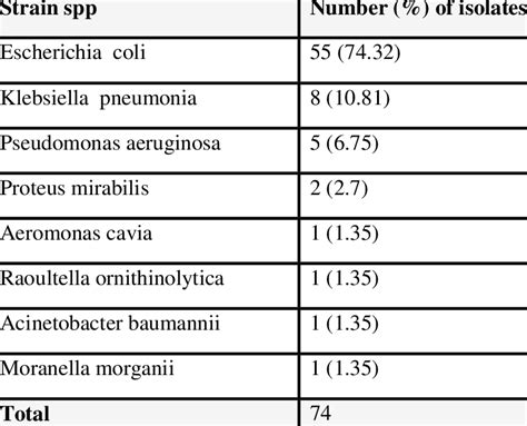 The Types And Percentages Of Gram Negative Isolates Download Table