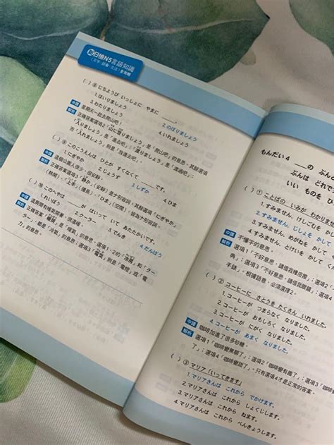 （二手九成新）新日檢n5言語知識全攻略 文字 語彙 文法 張暖彗 日文檢定書 日文 全新修訂版 檢定書 快速出貨 興趣及遊戲 書本及雜誌