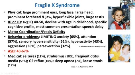 Clinical Trials And Cyclic Amp In Fragile X Syndrome A Life Journey