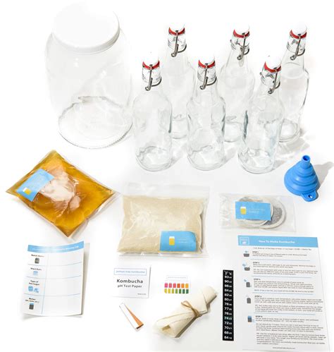 Buy Joshua Tree Kombucha Deluxe Starter Kit Contains Live Scoby And