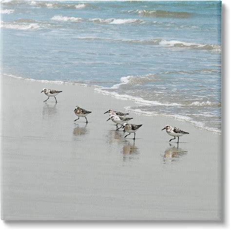 Amazon Stupell Industries Sandpipers On Shore Reflection Canvas