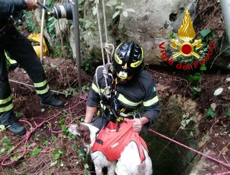 Mentre Passeggia Nel Bosco A Santa Caterina Precipita In Un Pozzo