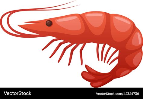 Shrimp Cartoon