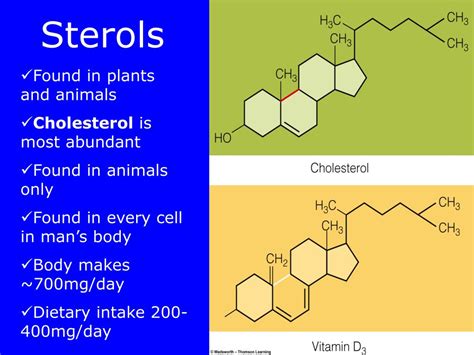 Ppt Lipids Powerpoint Presentation Free Download Id6898485