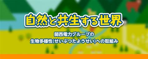 セミの種類｜自然と共生する世界｜for キッズ｜知る・楽しむ｜関西電力