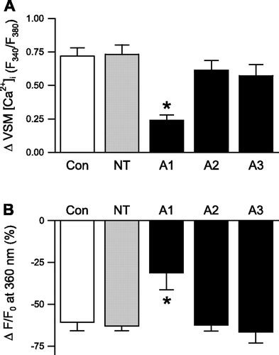 ASIC1 Contributes To Pulmonary Vascular Smooth Muscle Store Operated