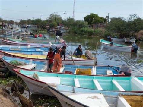 Apoyos Para Pescadores Por Los Millones De Pesos