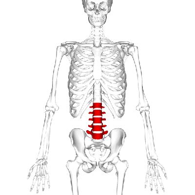 Lumbar Radicular Pain | Innovative Pain Solutions in Dr. Phillips, FL