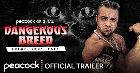 Teddy Hart Documentary Gets New Trailer, Release Date On Peacock