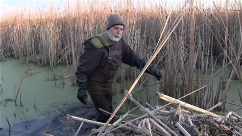 Hut Trapping South Dakota Muskrats Youtube