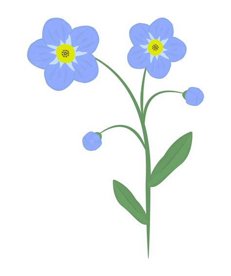 Premium Vector Forgetmenot Flowers And Leaves Colorful Illustration