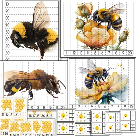 Honey Bee Unit Study Honey Bee Puzzle Printable Honey Bees Etsy