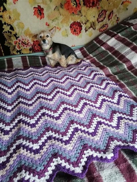 Pin On Crochet Blanket Crochet Blanket Crochet Blanket