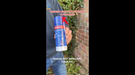 How To Get Rid Of Mice Using Penosil Pest Repellent Foam Youtube