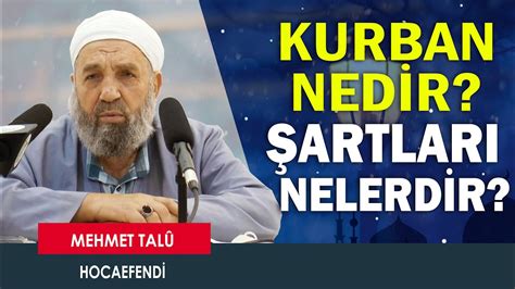 KURBAN NEDİR ŞARTLARI NELERDİR MEHMET TALU HOCAEFENDİ YouTube