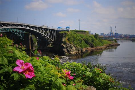 Reversing Falls rock walk tells the stories beneath Saint John's feet ...