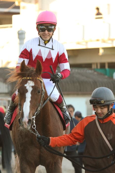 第15回 兵庫ジュニアグランプリjpnii その3 にゃお吉の高知競馬応援写真日記＋α（高知の美味しいお店）