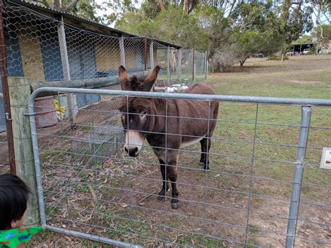 Camp Coolamatong Farm Camp 38 Cranswick Rd Banksia Peninsula Vic