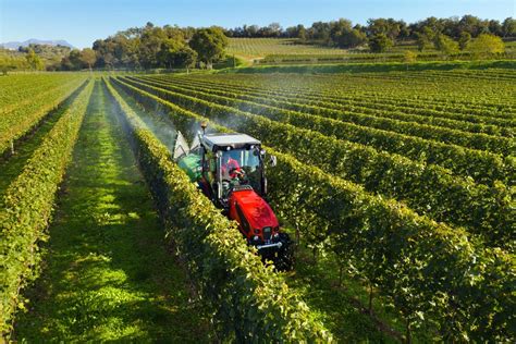 SAME Tracteurs De Verger Et De Vignoble SAME