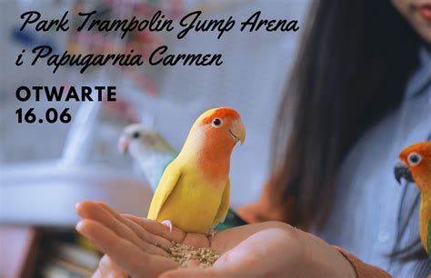 Papugarnia Carmen i Park Trampolin Jump Arena otwarte w Boże Ciało