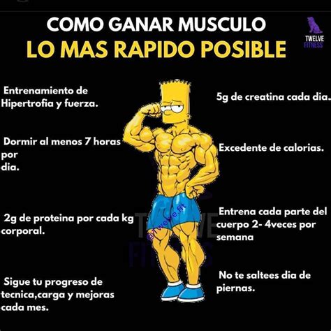 Como Ganar Musculo Lo Mas Rapido Possible Entrenamiento Rutinas De