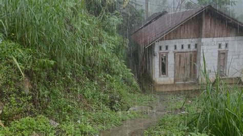 Heavy Rain Accompanied By Strong Winds Hits House In The Middle Of The