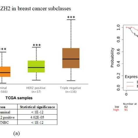 EZH2 Expression Is Correlated With Breast Cancer Progression But Not