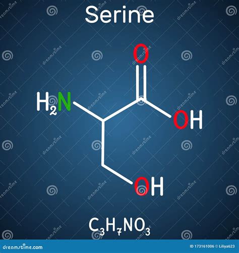 Mol Cula De Serina Ser Amino Cidos Se Utiliza En La Bios Ntesis De La